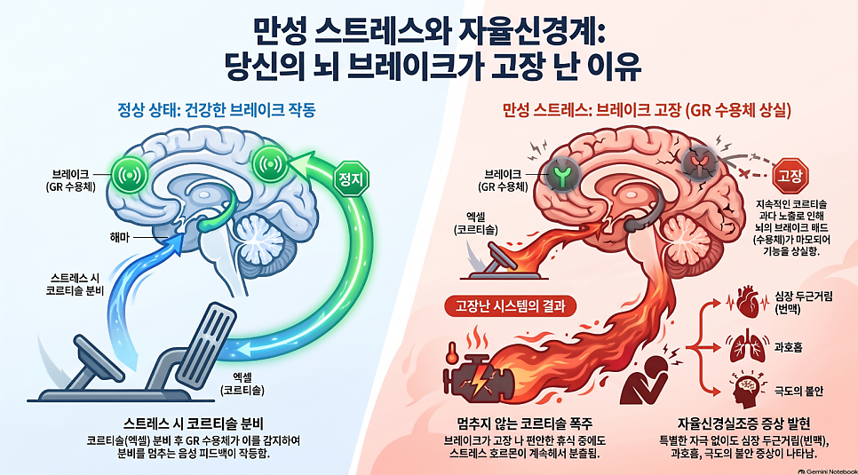 만성 스트레스가 부른 신경염증, 한약의 다중표적(Multi-target) 치료 기전