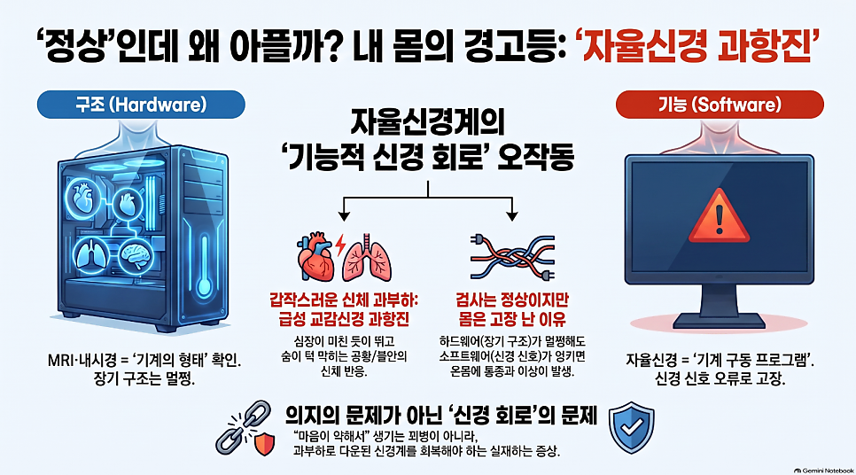 자율신경실조증, 신경안정제 대신 '뇌파 활성도'와 '자율신경'을 직접 봐야 고칩니다